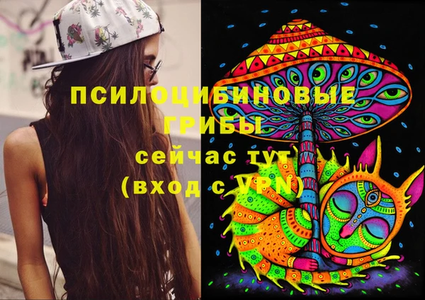 apvp Ростов