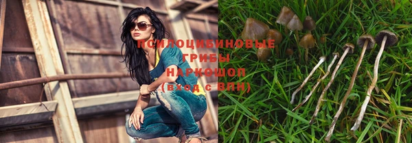 apvp Ростов