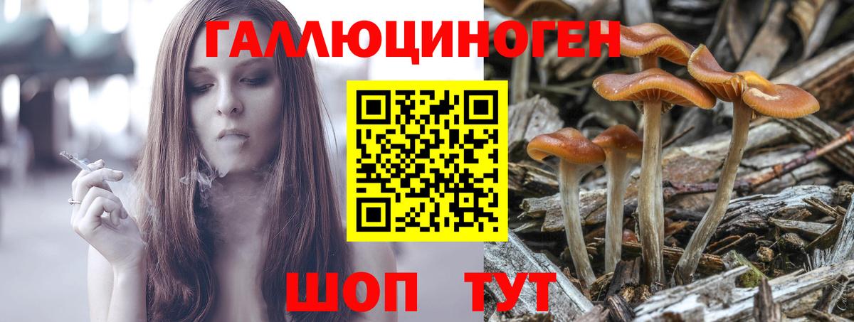 Галлюциногенные грибы прущие грибы  Вход с VPN  Ирбит  Псилоцибиновые грибы Psilocybine cubensis 